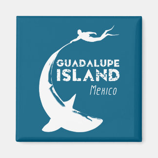 Imán Isla Guadalupe México | Buceo Scuba Con Tiburones