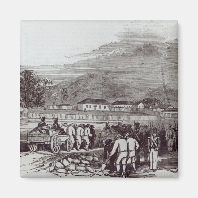 Imán Isla Norfolk (Frente)