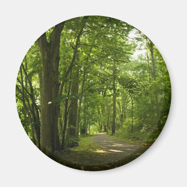 Imán Isla Osceloa Represa de Bristol Tennessee (Frente)