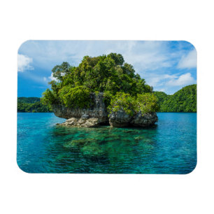 Imán Isla Rock en Islas Rock