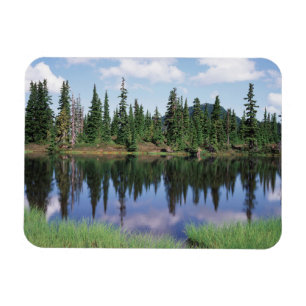 Imán Isla Vancouver, Parque Provincial Strathcona 2