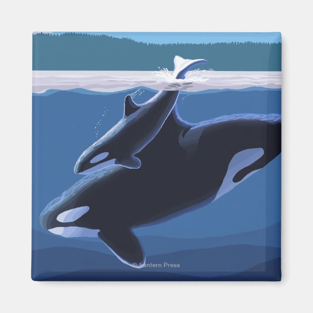 Imán Isla Whidbey, WashingtonOrca y Calf (Frente)