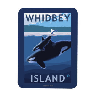 Imán Isla Whidbey, WashingtonOrca y Calf