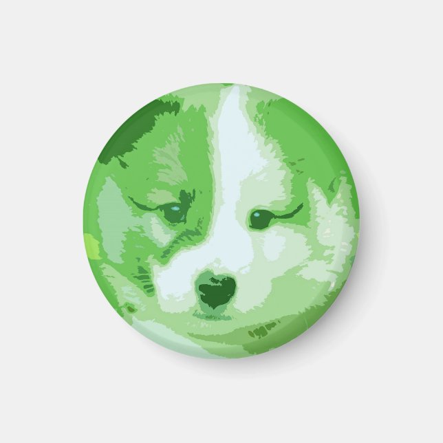 Imán Islandhund (Frente)