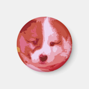 Imán Islandhund Welpe también Collage se pudrió