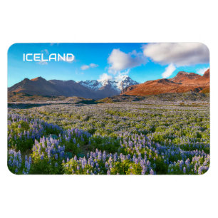 Imán Islandia