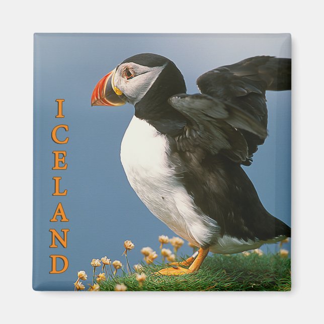 Imán Islandia (Frente)