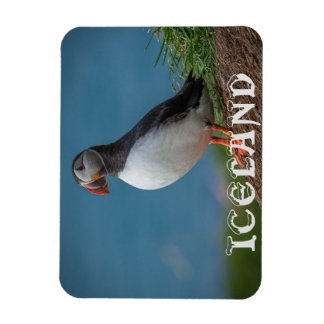 IMÁN ISLANDIA PUFFIN MAGNET