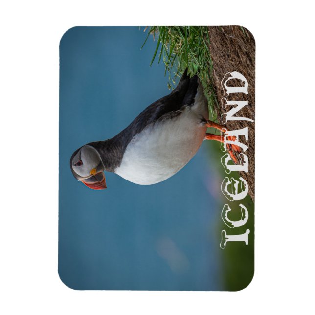 IMÁN ISLANDIA PUFFIN MAGNET (Vertical)