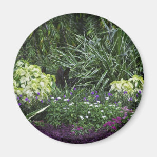 Imán Islas de Gran Caimán