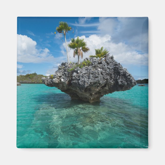 Imán Islas De Honor En Fiyi (Frente)