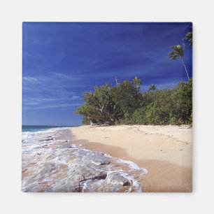 Imán Islas Fiji, Tavarua. Esta playa en Tavarua,