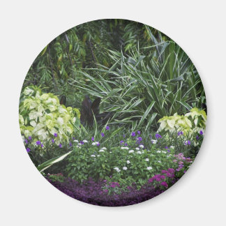 Imán Islas Gran Caimán