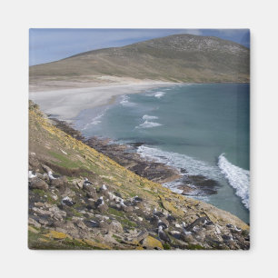 Imán Islas Malvinas, Malvinas Occidentales, Saunders