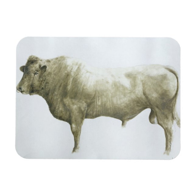 Imán Islay Bull 2004 (Horizontal)