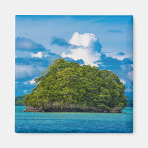 Imán Islote Little Rock Rodeado Por El Océano