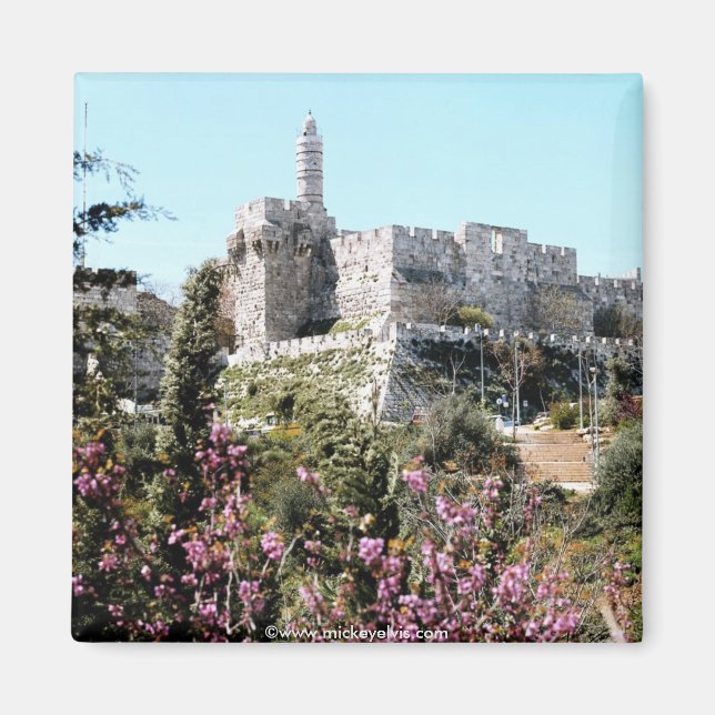 Imán Israel 22 (Frente)