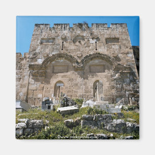 Imán Israel 43
