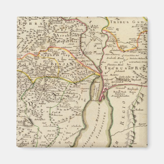 Imán Israel y Palestina (Frente)