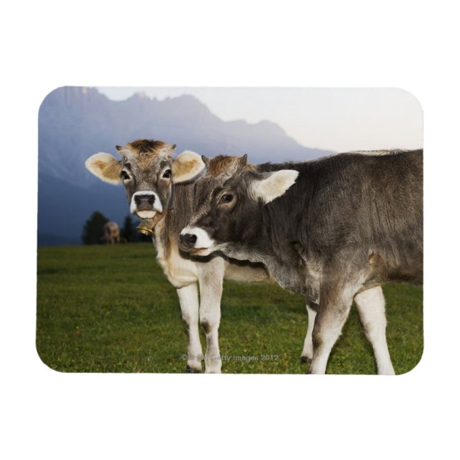 Imán Italia, Alto Adige (Horizontal)