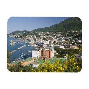 Imán ITALIA, Campania, (Bahía de Nápoles), ISCHIA, LACC