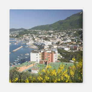 Imán ITALIA, Campania, (Bahía de Nápoles), ISCHIA, LACC