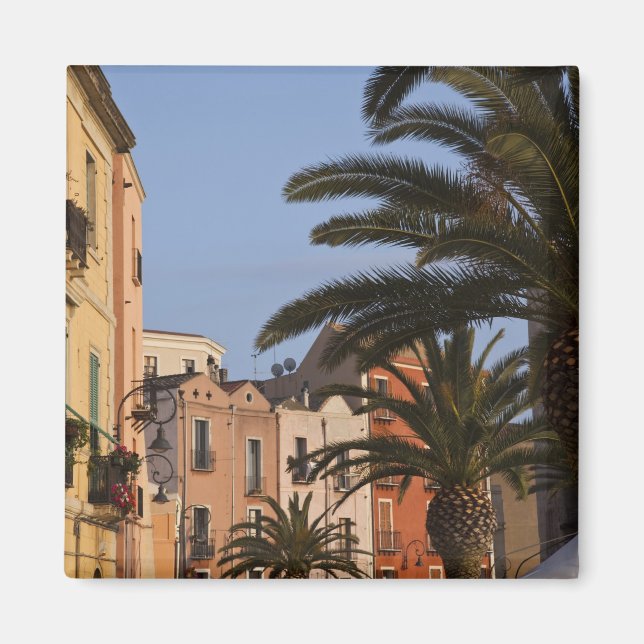 Imán Italia, Cerdeña, Cagliari. Edificios y palmeras (Frente)