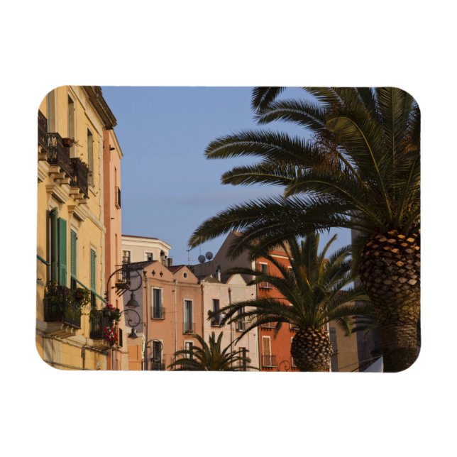 Imán Italia, Cerdeña, Cagliari. Edificios y palmeras (Horizontal)