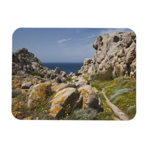 Imán Italia, Cerdeña, Santa Teresa Gallura. Capo 2