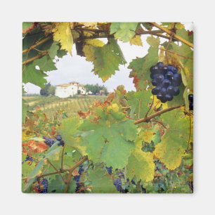 Imán Italia, granja de Toscana vista a través de