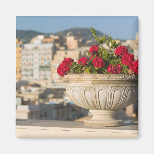 Imán Italia, Sicilia, Termini Imerese, View & Flowers