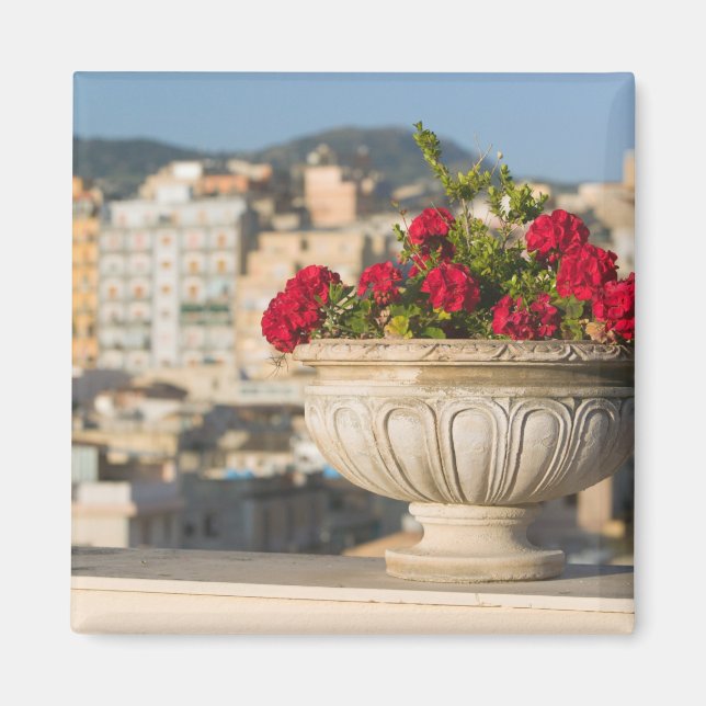 Imán Italia, Sicilia, Termini Imerese, View & Flowers (Frente)