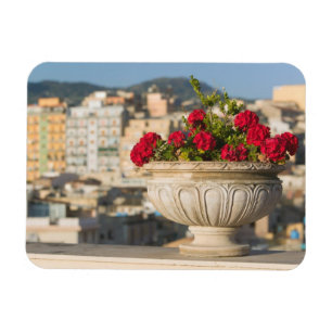 Imán Italia, Sicilia, Termini Imerese, Vista y flores