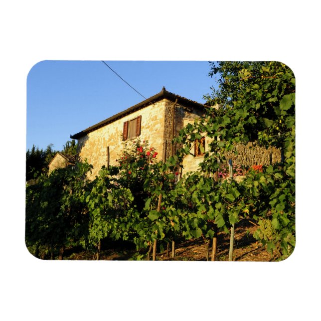 Imán Italia, Toscana, Greve. Escenas de vino de verano  (Horizontal)