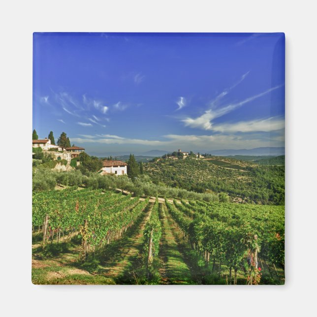 Imán Italia, Toscana, Greve. Los viñedos de Castello (Frente)