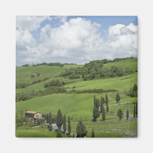 Imán Italia, Toscana. La Foce. Una carretera curva sube