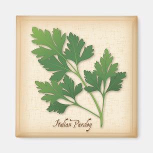 Imán Italiano Parsley Herb
