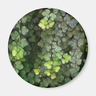 Imán Ivy Vine 6