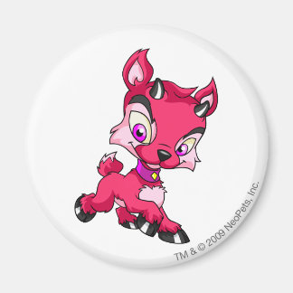 Imán Ixi Red