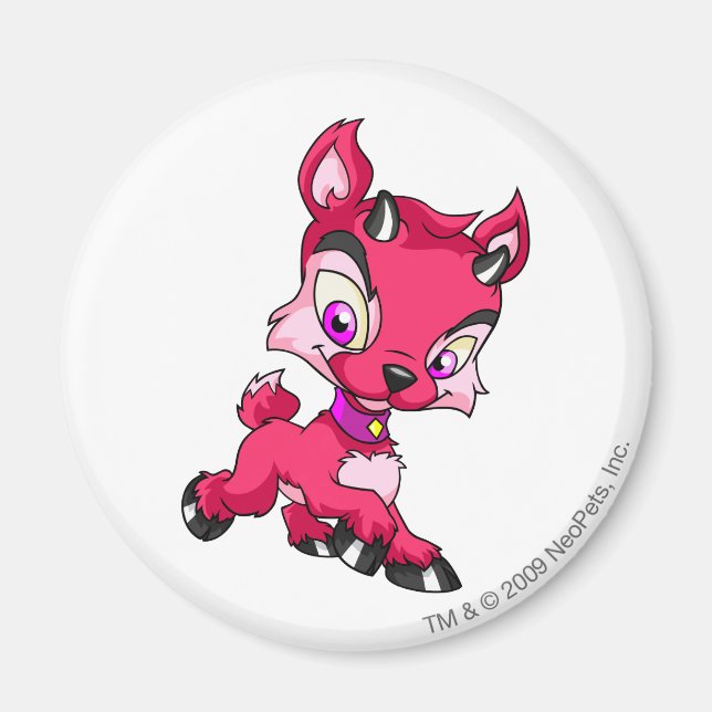 Imán Ixi Red (Frente)