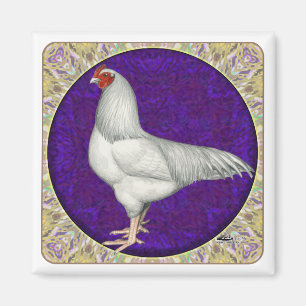 Imán Ixworth Rooster