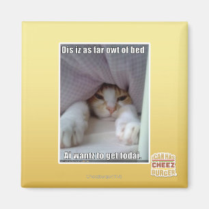 Imán Iz del SID como lejos owt de la cama.