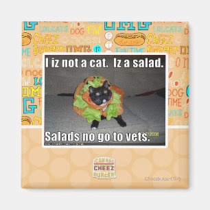 Imán Iz I no un gato. Iz una ensalada