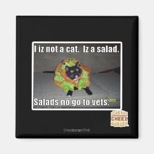 Imán Iz I no un gato. Iz una ensalada