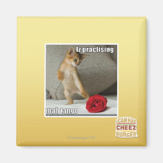 Imán Iz practicando mah tango