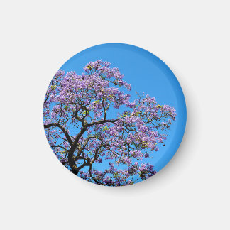 Imán Jacaranda