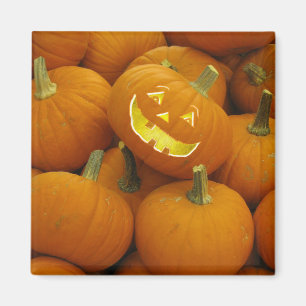 Imán Jack-O-Lantern en una lámina de calabaza