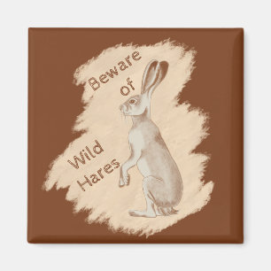 Imán Jack Rabbit and Friends