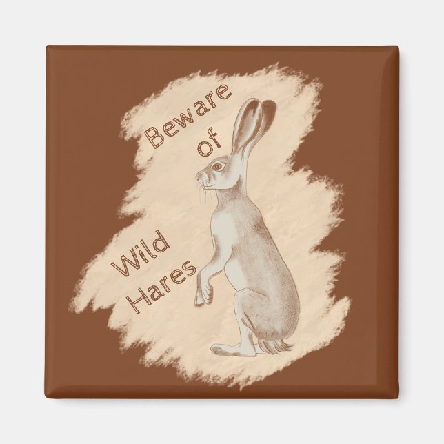 Imán Jack Rabbit and Friends (Frente)