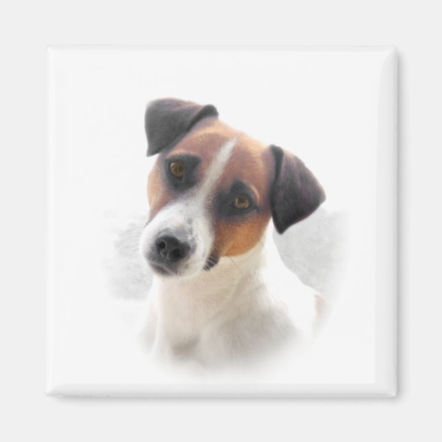 Imán Jack Russell Magnet (Frente)